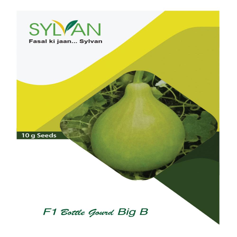 Bottle Gourd - Big B