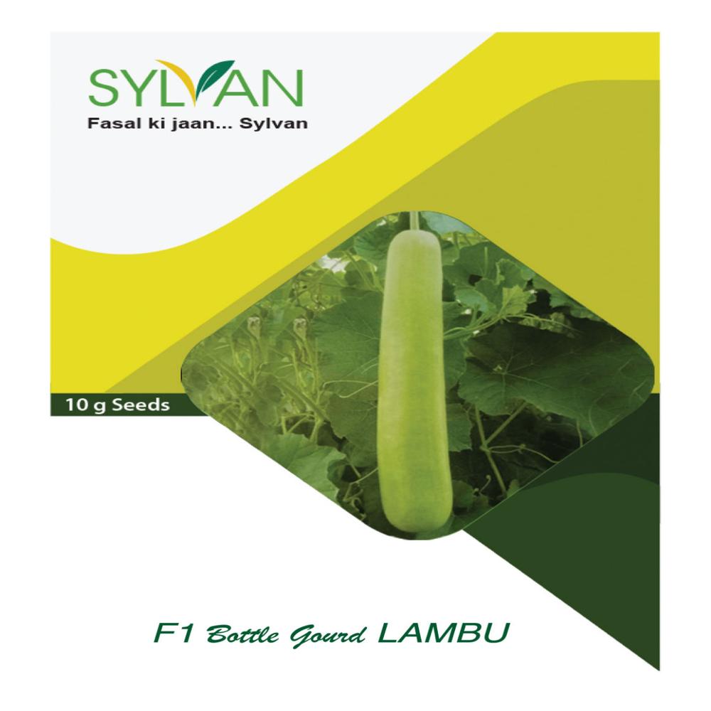 Bottle Gourd - LAMBU F1