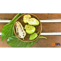 500Ml Noni Juice - Packaging: Bottle