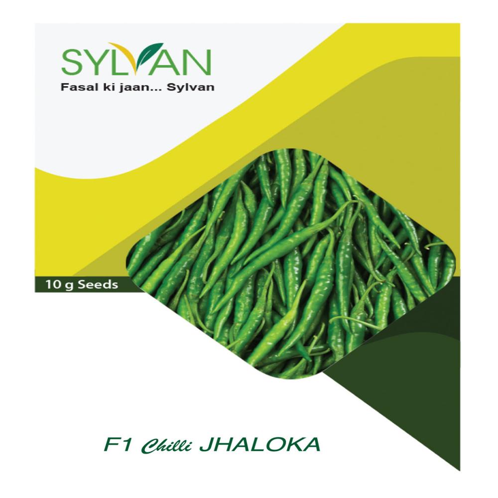 Chilli - JHALOKA F1