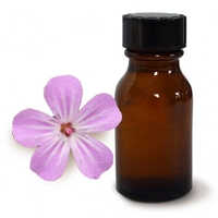 Geranium Oil China - Age Group: Old Age