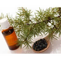 Juniper Berry Oil - 100% Pure Natural Oil Extracted From Leaves By Cold Pressing | Suitable For Adults, Aromatherapy & Skincare Use