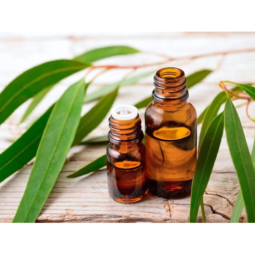 Eucalypts Oil - Age Group: Old Age