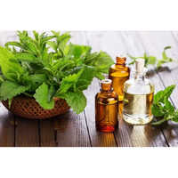 Patchouli Oil - Age Group: Adults