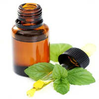 Mentha Citrata Oil - Age Group: Adults