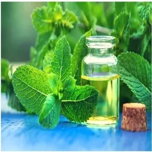 Mentha Piperata Oil - Age Group: Adults