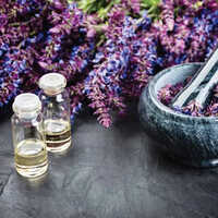 Clary Sage Oil - Age Group: Old Age