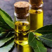Bay Leaf Oil - 100% Pure Essential Oil | Steam Distillation, Fragrant Compound, Suitable For Old Age Adults, 24-month Shelf Life