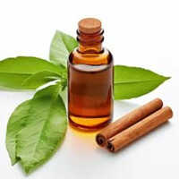 Cinnamon Oil - Age Group: Old Age
