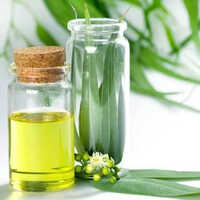 99.5 Percent Eucalyptol - Grade: Industrial Grade