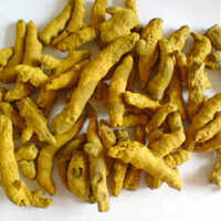 Turmeric Oleoresin - Age Group: Adults