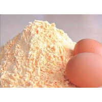 Whole Egg Powder - Age Group: Children