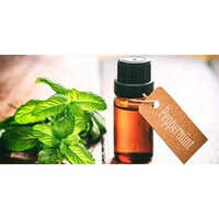 Peppermint Oil