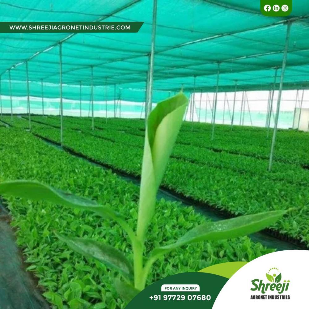 Agro Shed Net