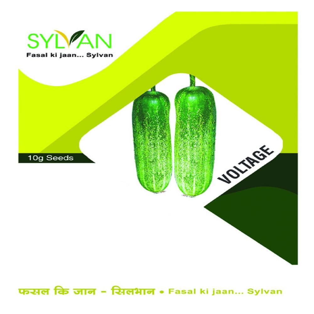 Cucumber - VOLTAGE F1
