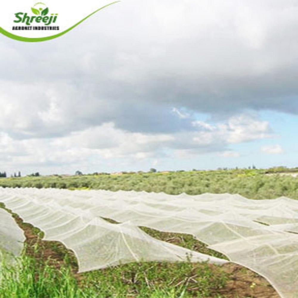 Tape Filament Shade Net