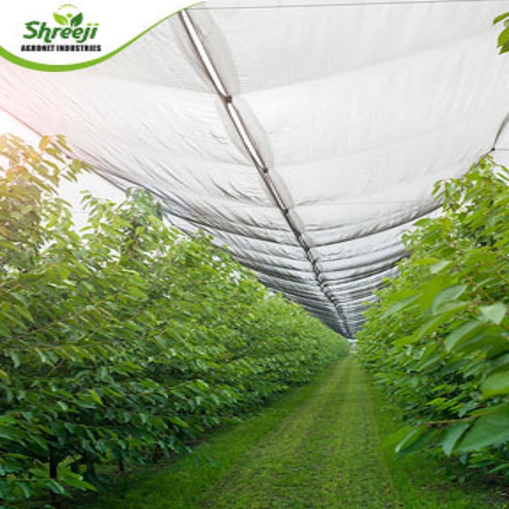 Tape Filament Shade Net
