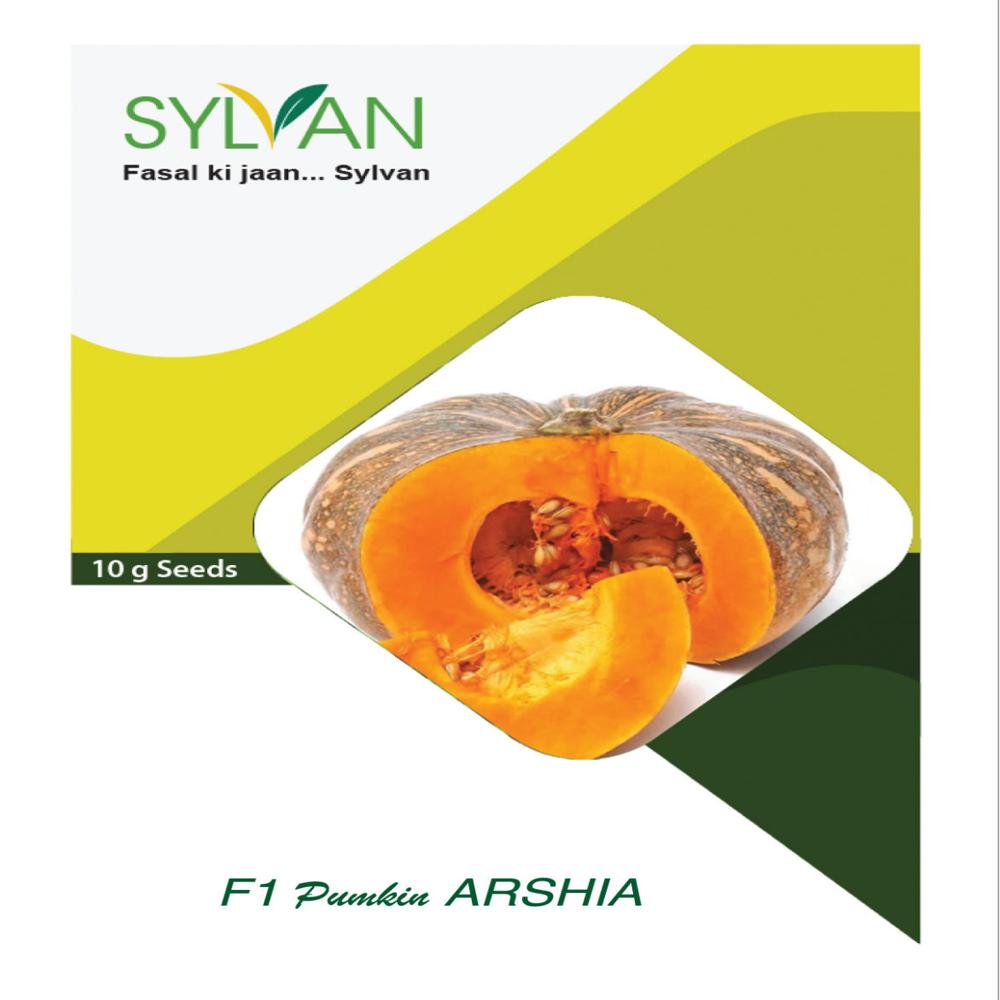 Pumpkin - Arshia F1