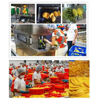 Organic Fruits Powder Making Plant - Automatic Grade: Automatic