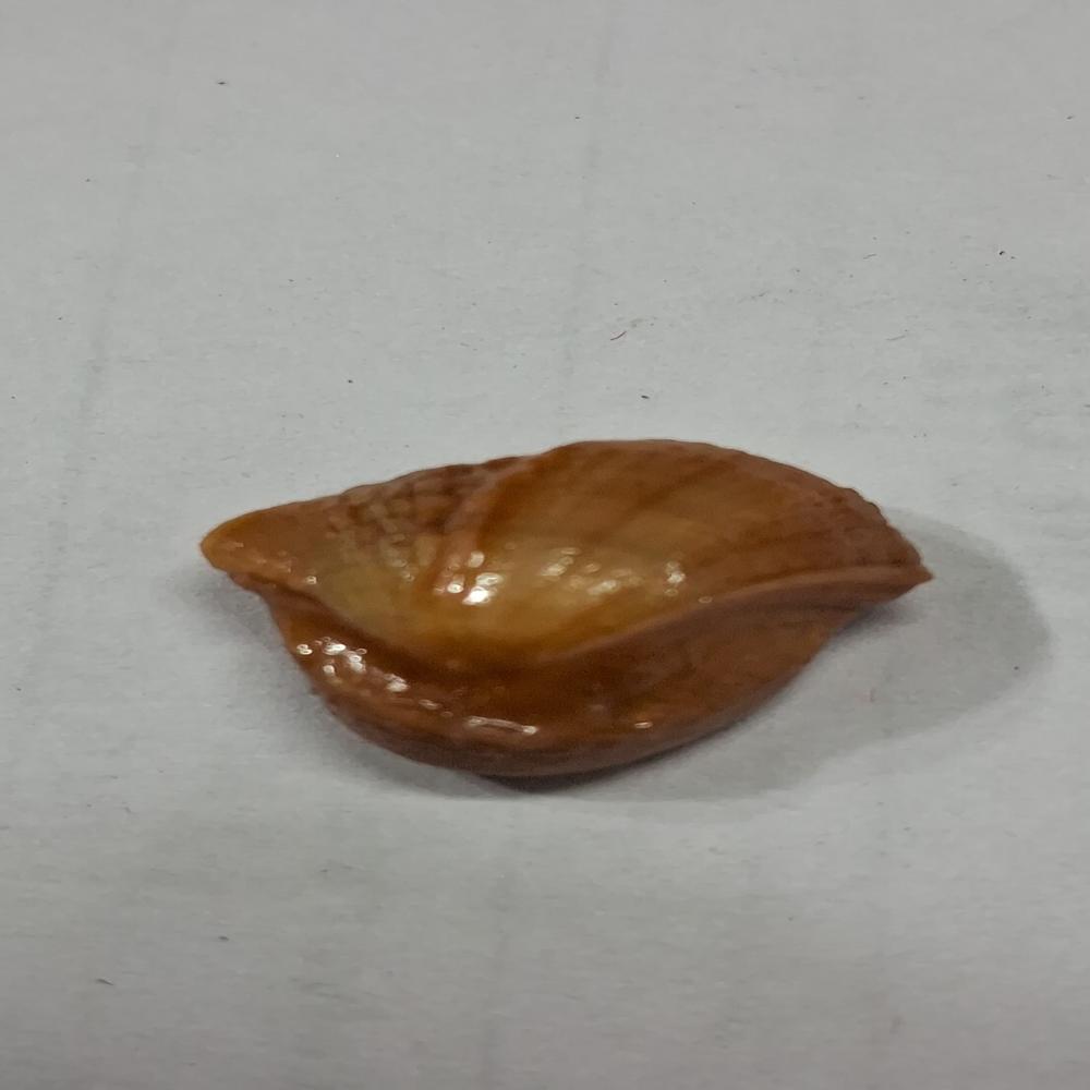 Machhmani makardhawaj mani Gemstone