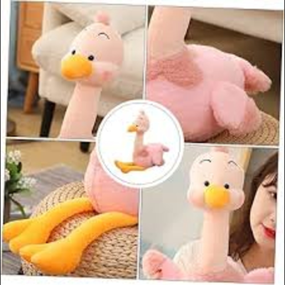 Bird Soft Toys - Color: Multicolor