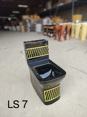 One Piece Western Toilet