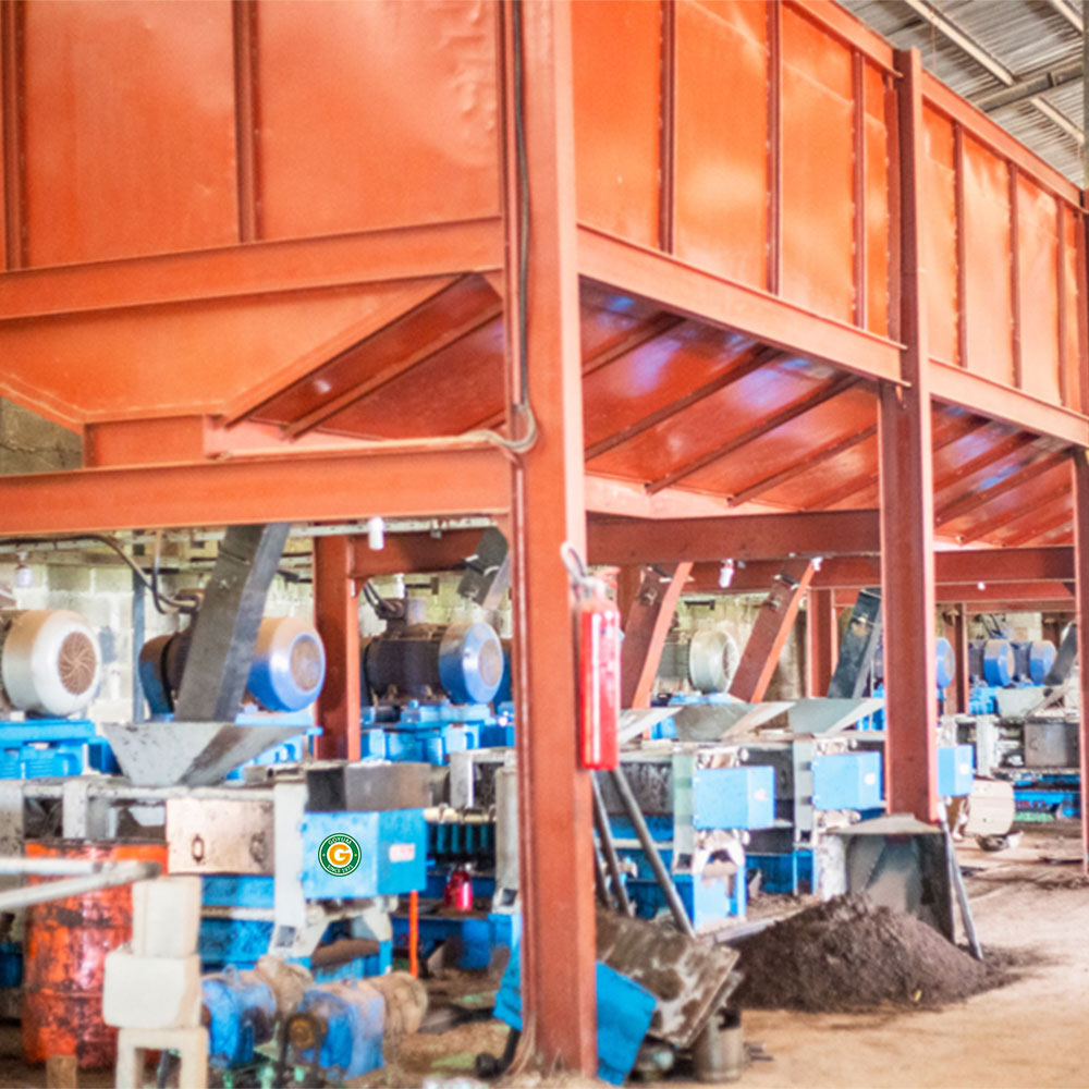 Fully Automatic Edible Oil Extruder Machine - Capacity: 5 - 6 Ton/day