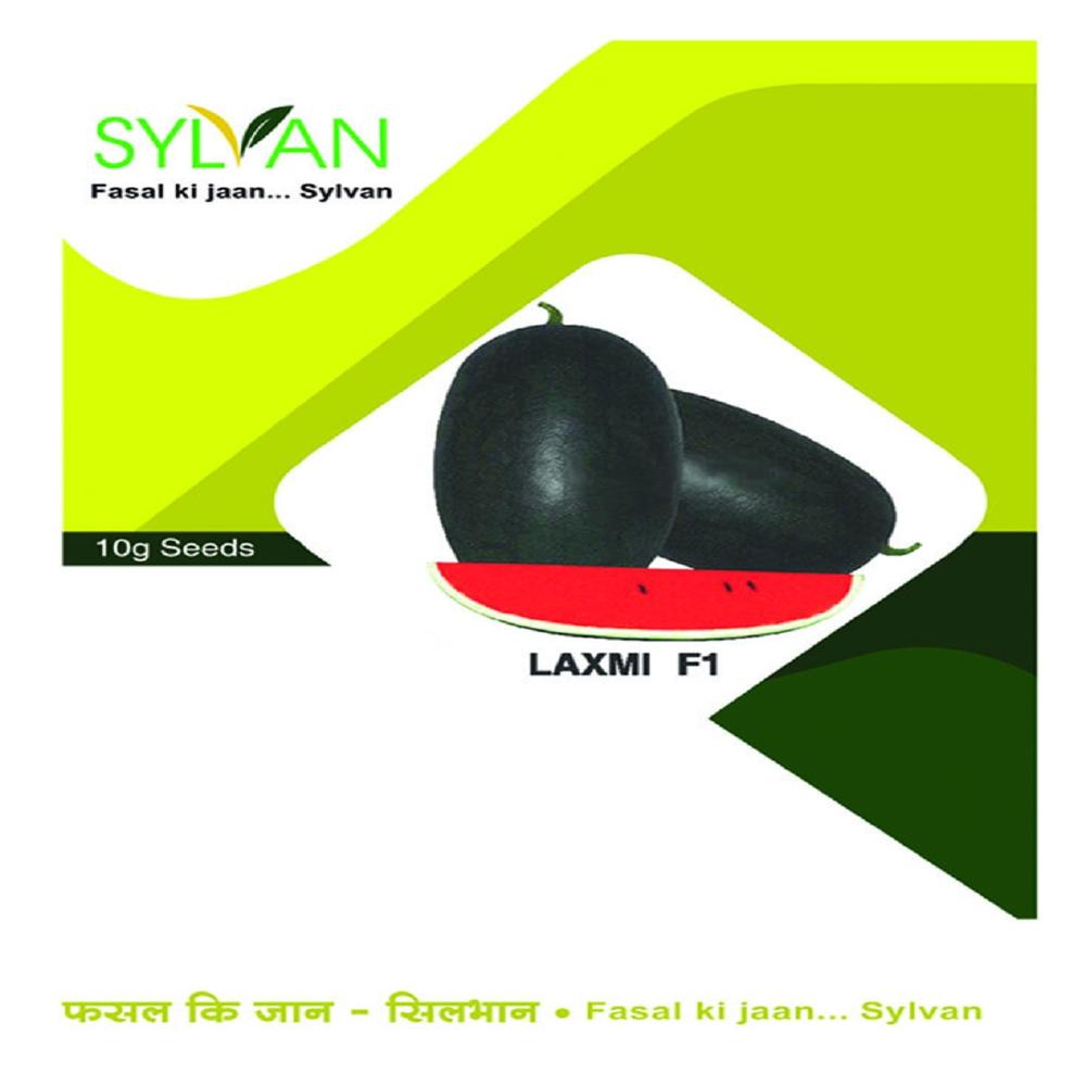 Watermelon - Laxmi Icebox F1