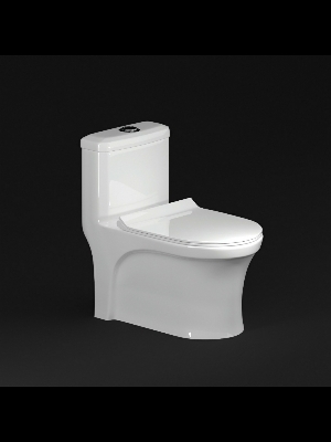 White One Piece Toilet with Washdown Flushing System