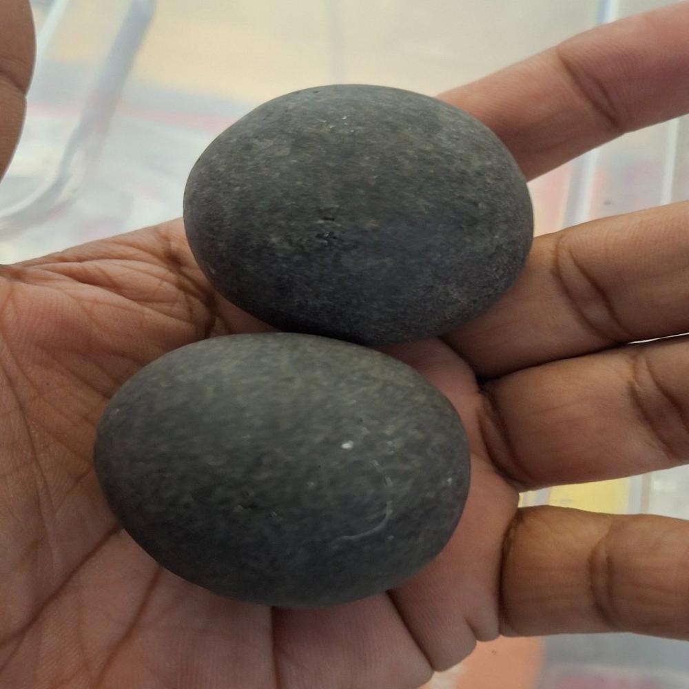 Shaligram stone santan gopal