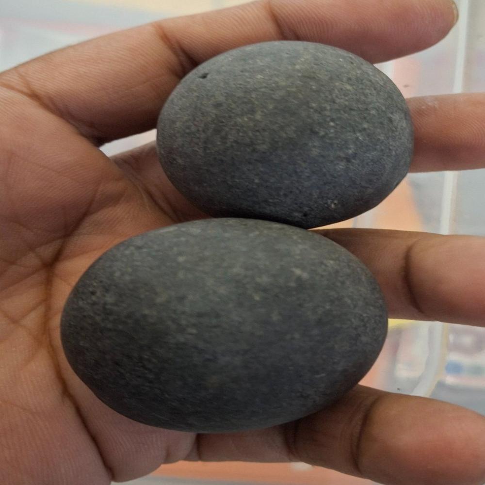 Shaligram stone santan gopal