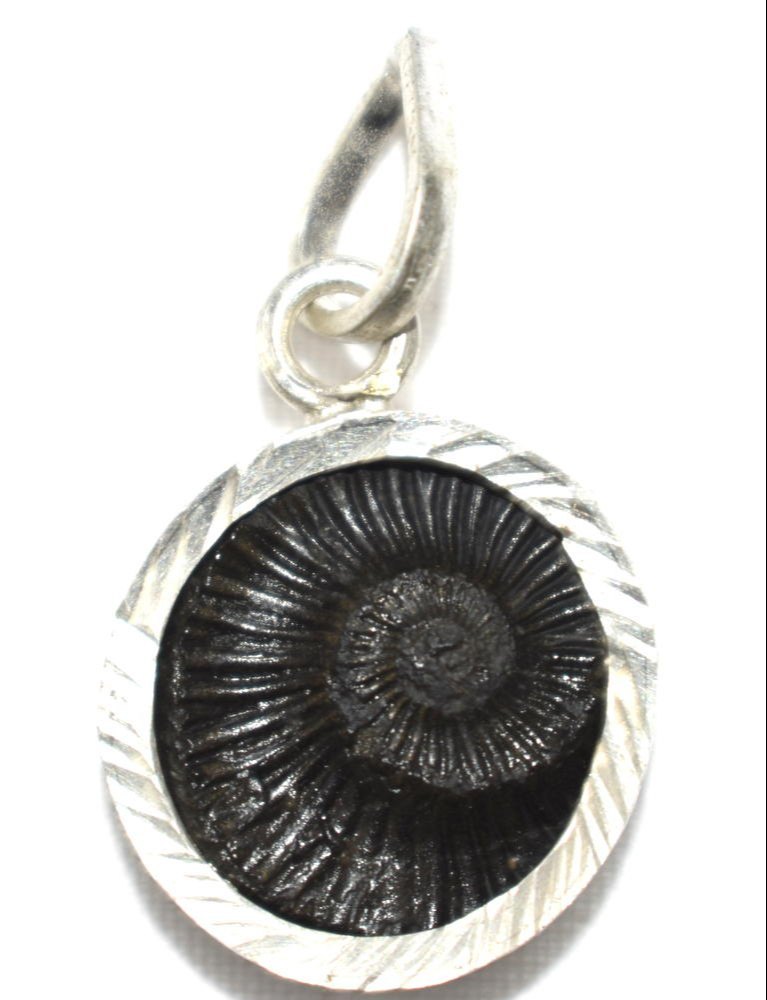 Sudarshan Chakra Shaligram Stone - Color: Black