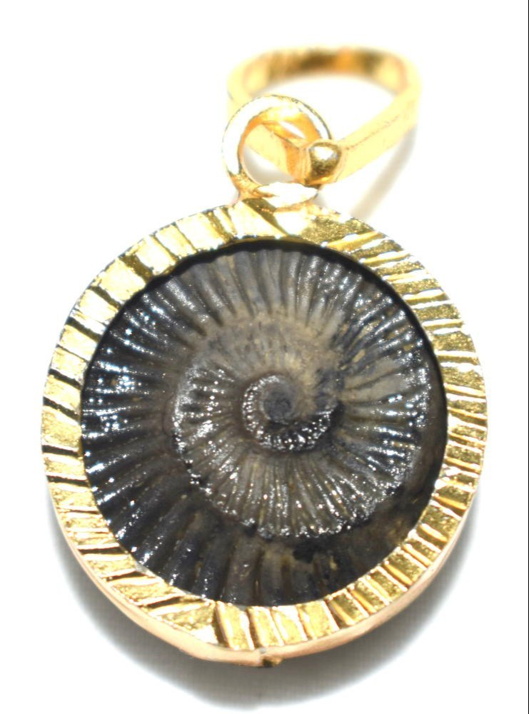 Sudarshan Chakra Shaligram Stone