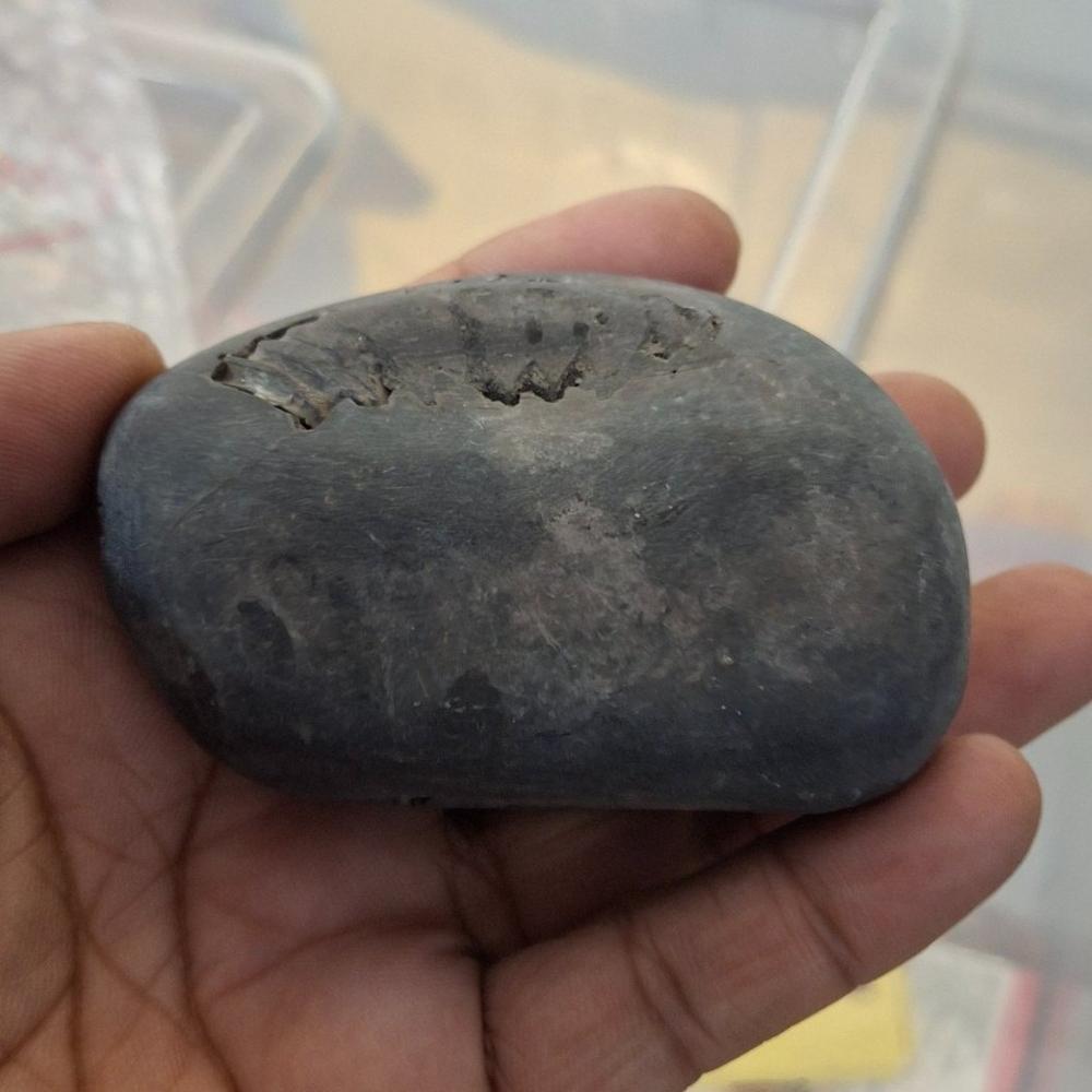 Laxshmi Narayana Shaligram