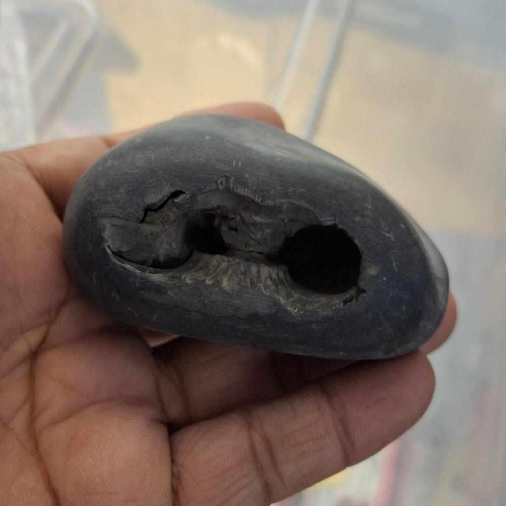 Laxshmi Narayana Shaligram