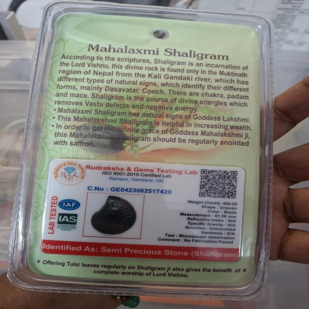 Mahalaxshmi Shaligram Stone