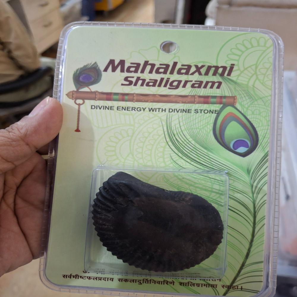 Mahalaxshmi Shaligram Stone