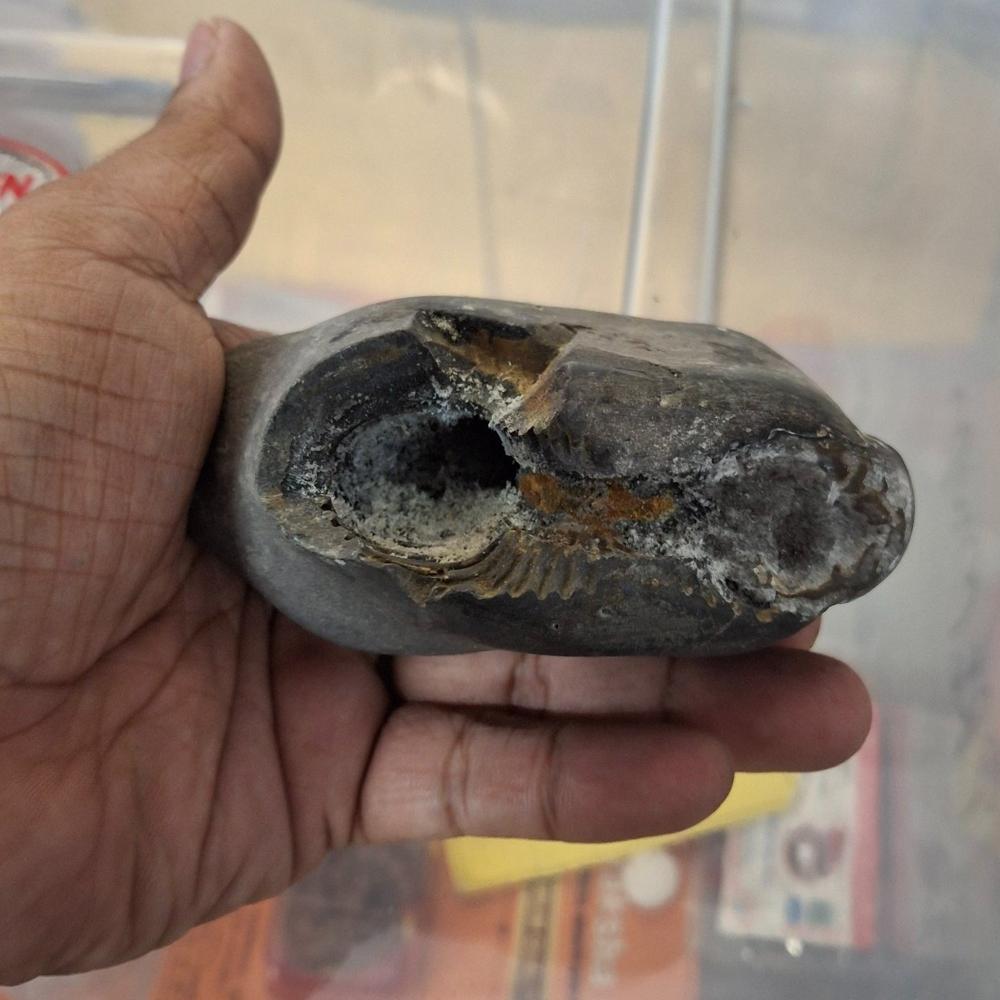 Mahavishnu Shaligram Stone