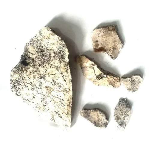 Dendritic Opal Stone - Shape: Oval Cut