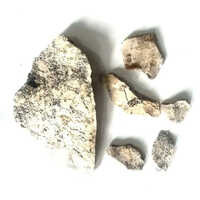 Dendritic Opal Stone