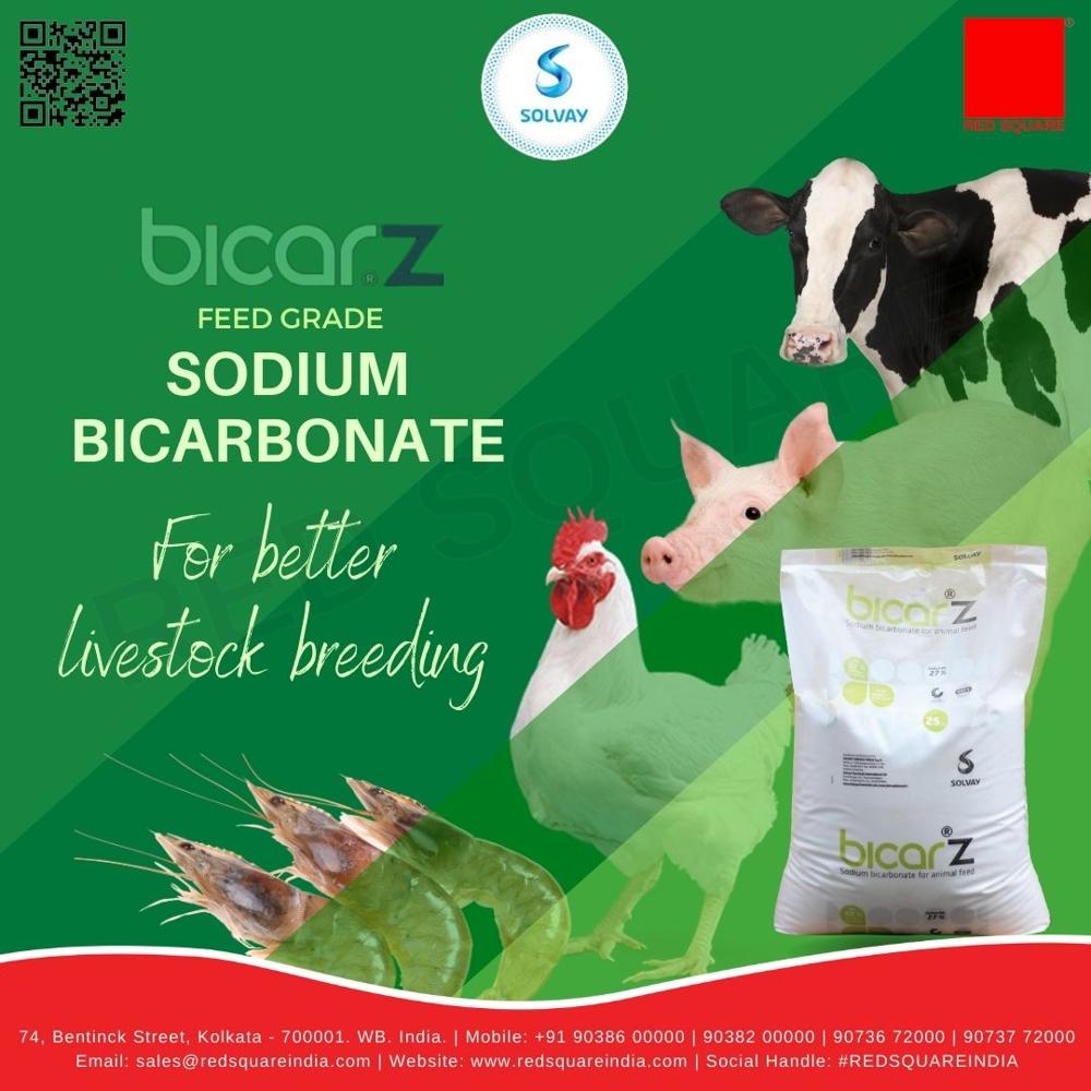 Sodium Bicarbonate - Feed Grade - Solvay