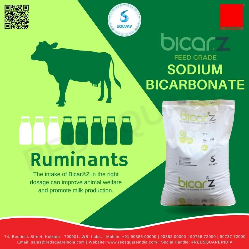Sodium Bicarbonate - Feed Grade - Solvay