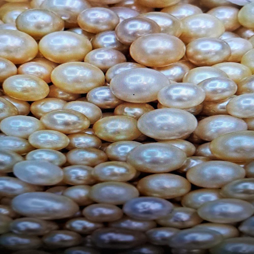 South sea Golden Pearl  Gemstone