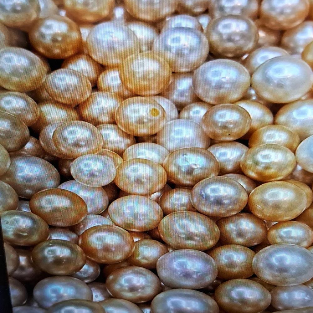 South sea Golden Pearl  Gemstone