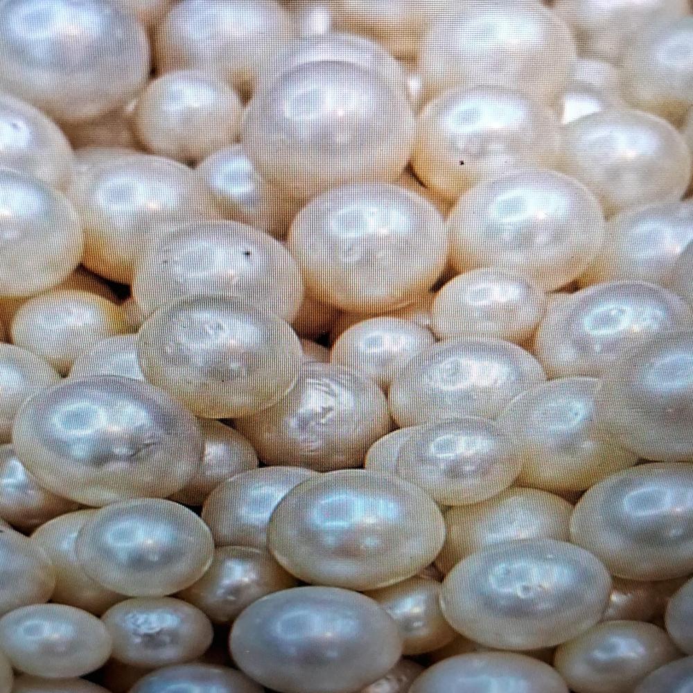 South sea White Pearl Gemstone