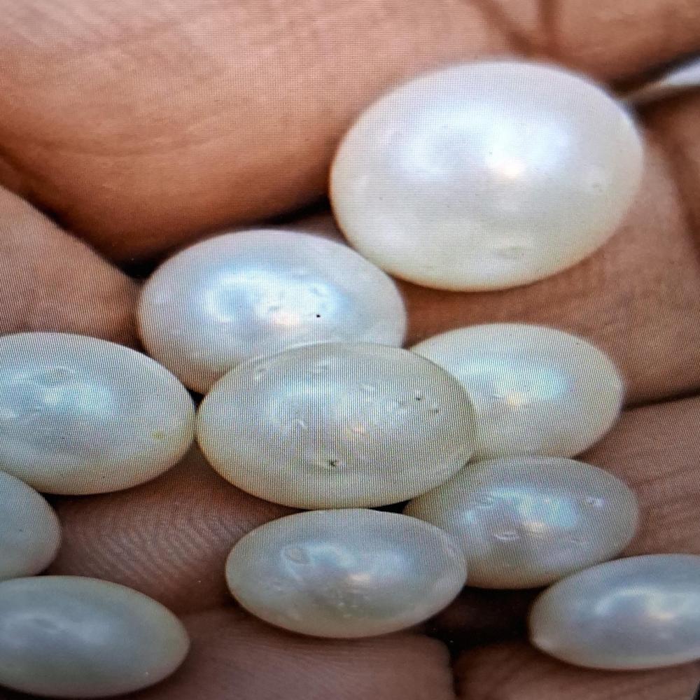 South sea White Pearl Gemstone