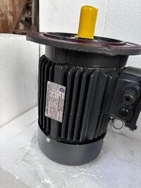 Flange Mounted Electric Motor