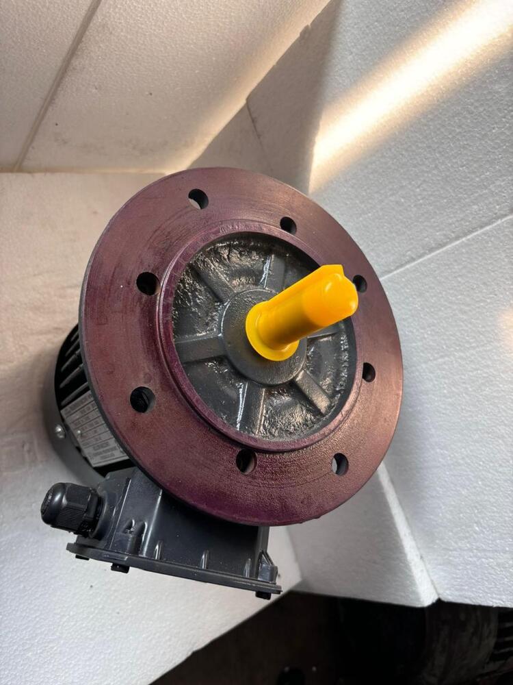 Electric Flange Motors