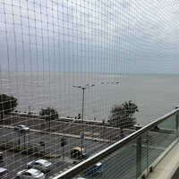 Anti Bird Net
