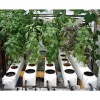 Agriculture Aeroponic System - Advantage: Easy Assembled